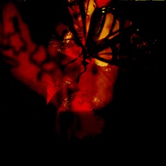 zseance (orheezyx)