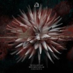 Previews Bernardo Hangar "Mentes Obtusas" EP - DarkForest 61