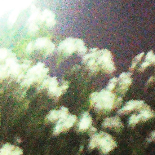 Old Age (Nirvana Cover)