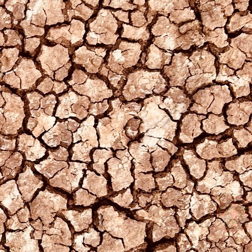 The Even Worse Than The Rest Playlist