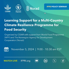 Learning Support for a Multi-Country Climate Resilience Programme for Food Security
