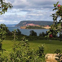 We The Kings- Well Be A Dream Piano