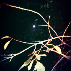 M y s † ∆ O c c u l † ∆ - LIVE SET SPECIAL FOR CULTWAVE RADIO