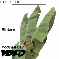 VDS Podcast Nr.017 w/ Rintaro (VDS)