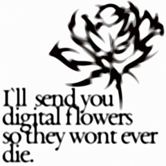 I’ll send you digital flowers so they wont ever die
