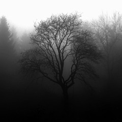 Mistiness