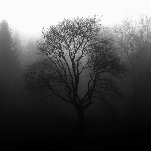 Mistiness