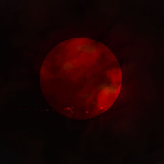 |||252||| Red Sun - wolfgang 🌞