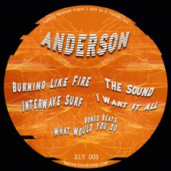 • PREMIERE • Anderson - Burning Like Fire [D.I.Y003]