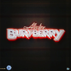 Buryberry (Radio Edit)