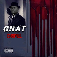 GNAT Eminem Cover