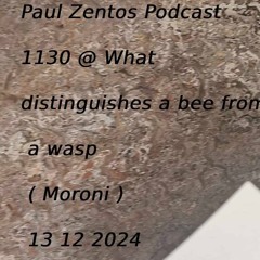 Podcast 1130 @ What Distinguishes A Bee From A Wasp ( Moroni ) 13 12 2024