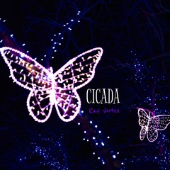 Cicada