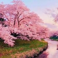 Cherry Blossom feat. Milk (prod. PUPSTOMPER)