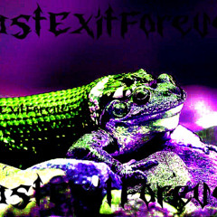 NETTA X LASTEXiTFOREVER HUMANFROGS {ZACHU}