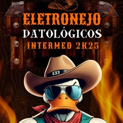 Eletronejo Patológicos - DJ BOCCHI