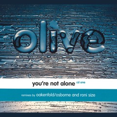 You're Not Alone (Radio Edit)