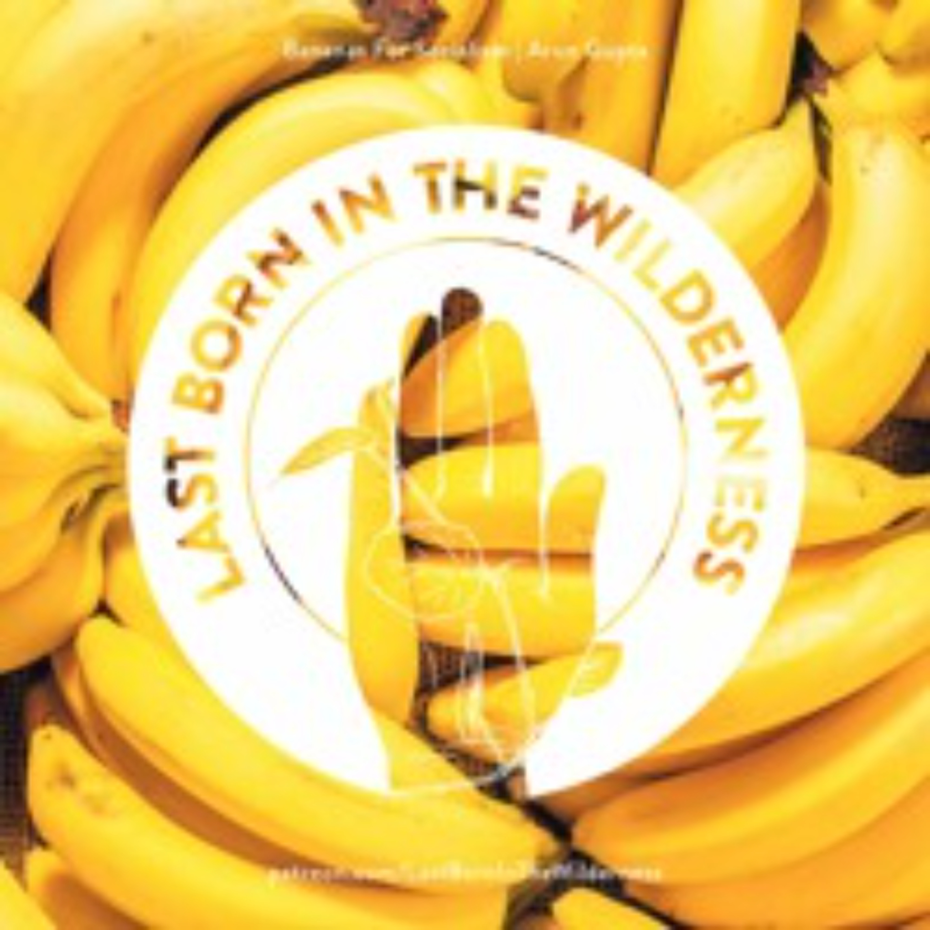Preview: Bananas For Socialism w/ Arun Gupta