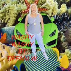 washy-washy