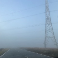 The Orphic Experience