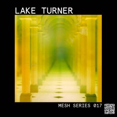 Mesh Series 017: Lake Turner