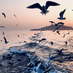 Untitled playlist