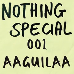 Nothing Special 001: AAGUILAA