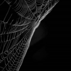 Transpose