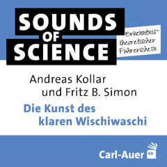 #1 Erkenntnistheoretischer Führerschein | Die Kunst des klaren Wischiwaschi