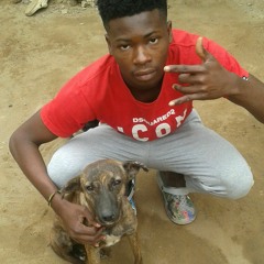 DBJ - Vou Sabalar Com Meu Cão