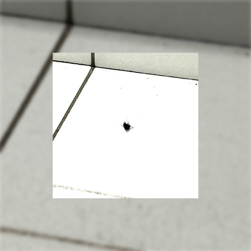 This is Hardcore #3