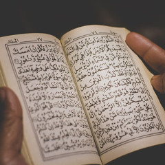 قَدۡ جَآءَكُم بَصَآئِرُ مِن رَّبِّكُمۡۖ فَمَنۡ أَبۡصَرَ فَلِنَفۡسِهِۦۖ وَمَنۡ عَمِيَ فَعَلَيۡهَاۚ | الشيخ محمد المنشد