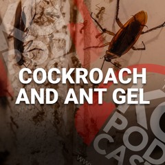 Episode 37: Ant & Cockroach Gel