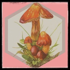 Scharlachroter Saftling # 6 - Barbarella