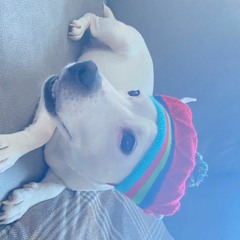 Yeat - aye wanna go to war? (prod javier abstrekt bodegacrack patrick)