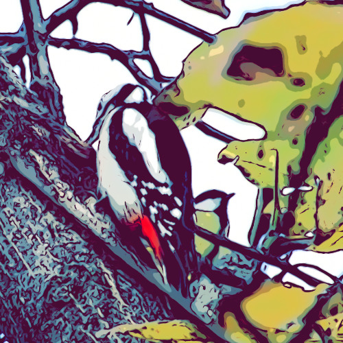 Secret Language of Birds (Remix 2025)