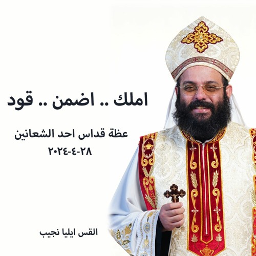 املك .. اضمن .. قود - القس ايليا نجيب 28 - 4-2024 قداس احد الشعانين 3