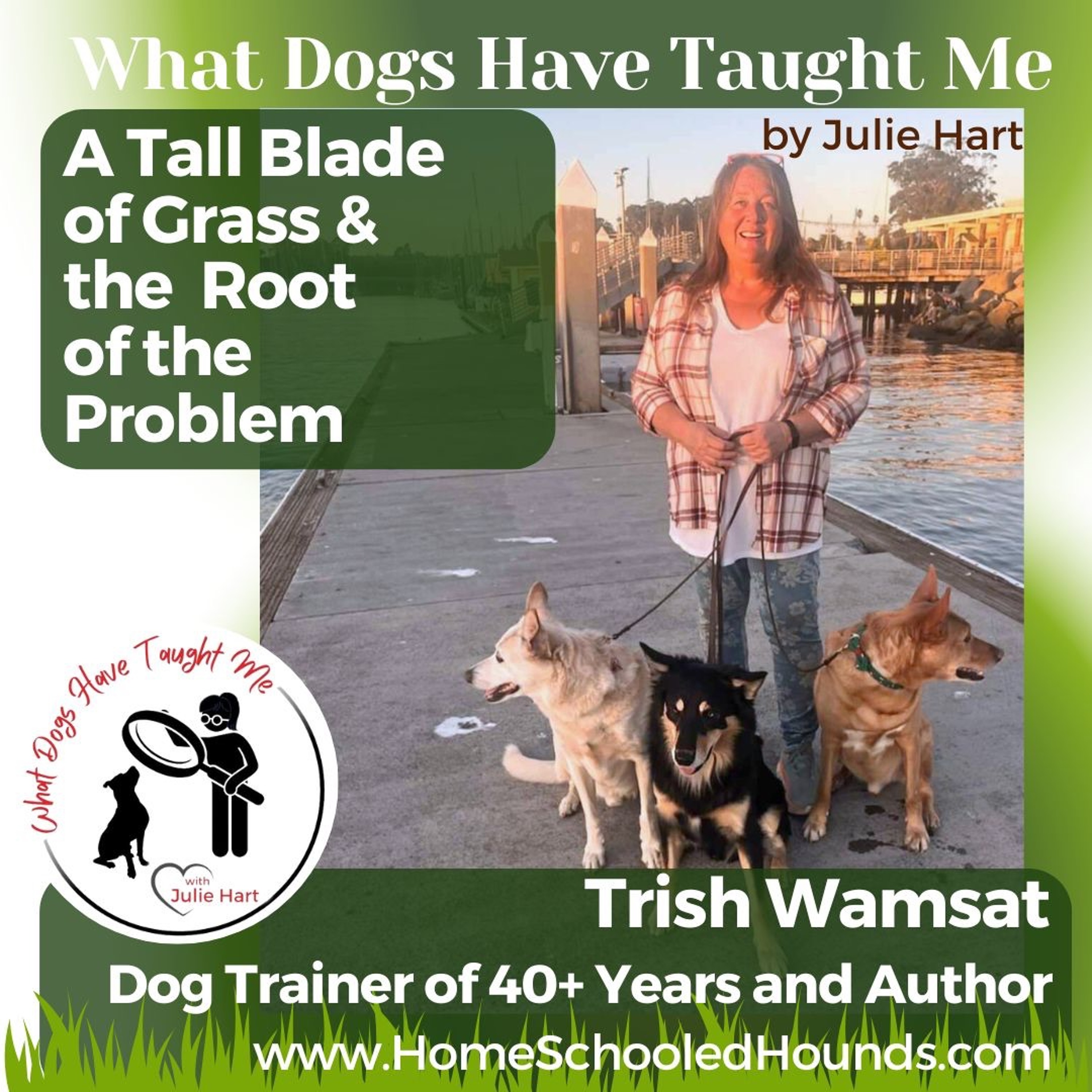 What Dogs Have Taught Me