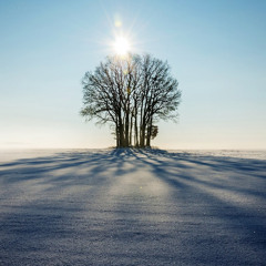 In The Light of Day