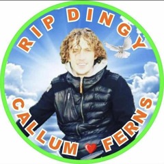 M Roks, OB, Rieks, Samzy - Ding Ting (Rip Callum Ferns)