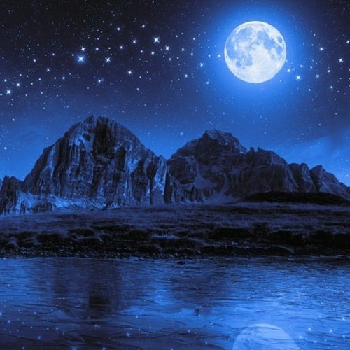 NIGHT SONG - CUZZ'N DEVV X LLC X Z