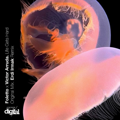 Foletto x Victor Arruda - Life Gets Hard (Original Mix) | Stripped Digital