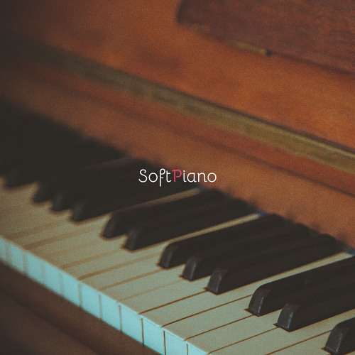 The Stillness Between the Keys