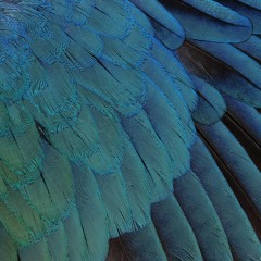 Cold Winds In Empty Spaces