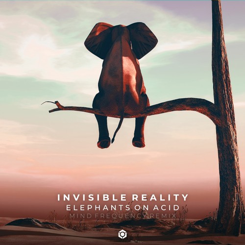 Invisible Reality - Elephants On Acid Mind Frequency Rmx