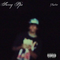 Sorry Ppi(prod. by yushxn)