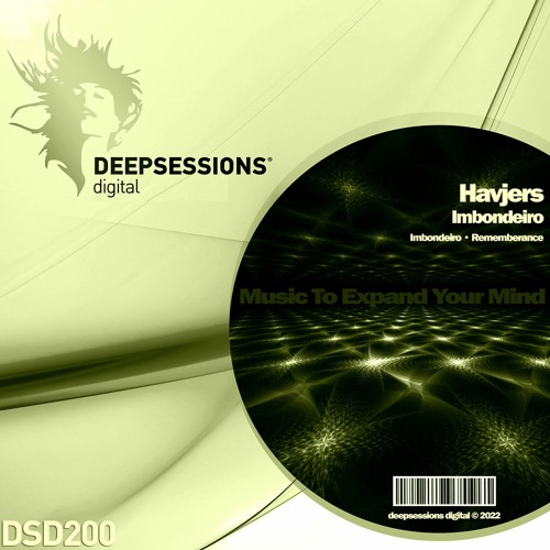 DSD200 | Havjers - Imbondeiro (Original Mix)
