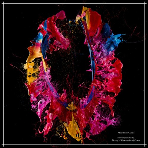 Malov - I'm Not Afraid (My Flower Remix) [Androgyne Audio]