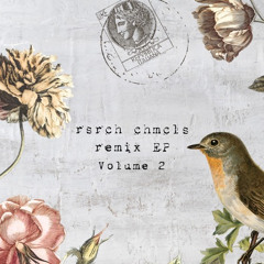 Snoop Dogg - Drop It Like It's Hot (rsrch chmcls Flip)