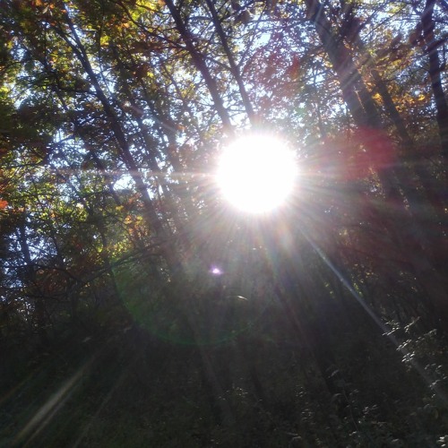 Son of the Sun (prod. Triplesixdelete)